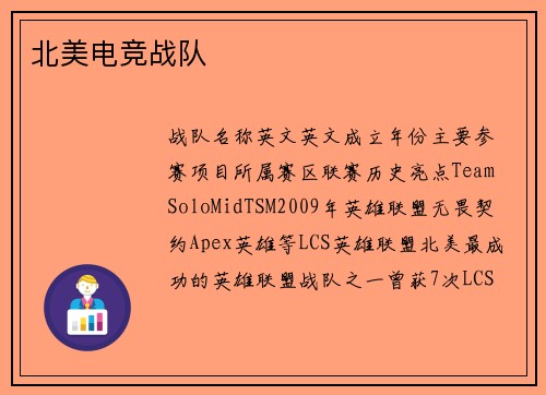 北美电竞战队